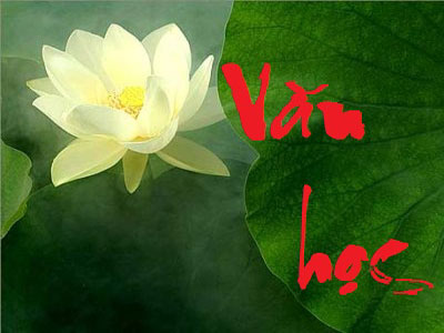 5 cách để bạn yêu thích môn văn nhiều hơn